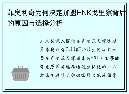 菲奥利奇为何决定加盟HNK戈里察背后的原因与选择分析
