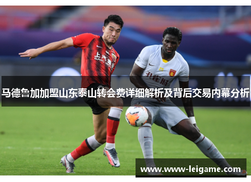 马德鲁加加盟山东泰山转会费详细解析及背后交易内幕分析 马德鲁加加盟山东泰山转会费详细解析及背后交易内幕分析